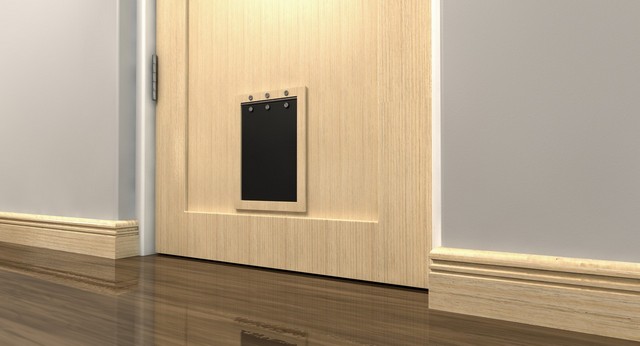 Cat Flap Installation Hornsey, N8